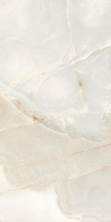 Reves Perle Matte 24 x 48